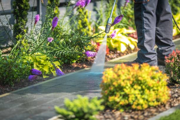 Best Animal Enclosure Cleaning  in Grimes, IA